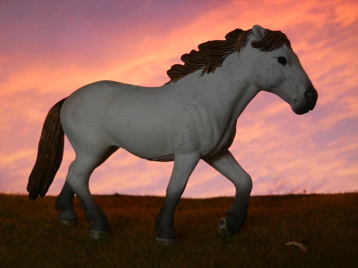 12 NYE SCHLEICH HESTE 2012 [SCHLEICH] - Camargue hoppe (Jeva) billede 4