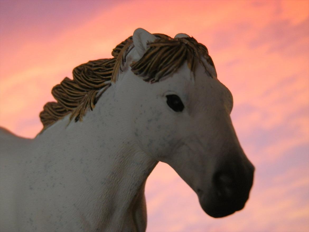 12 NYE SCHLEICH HESTE 2012 [SCHLEICH] - Camargue hoppe (Jeva) billede 5