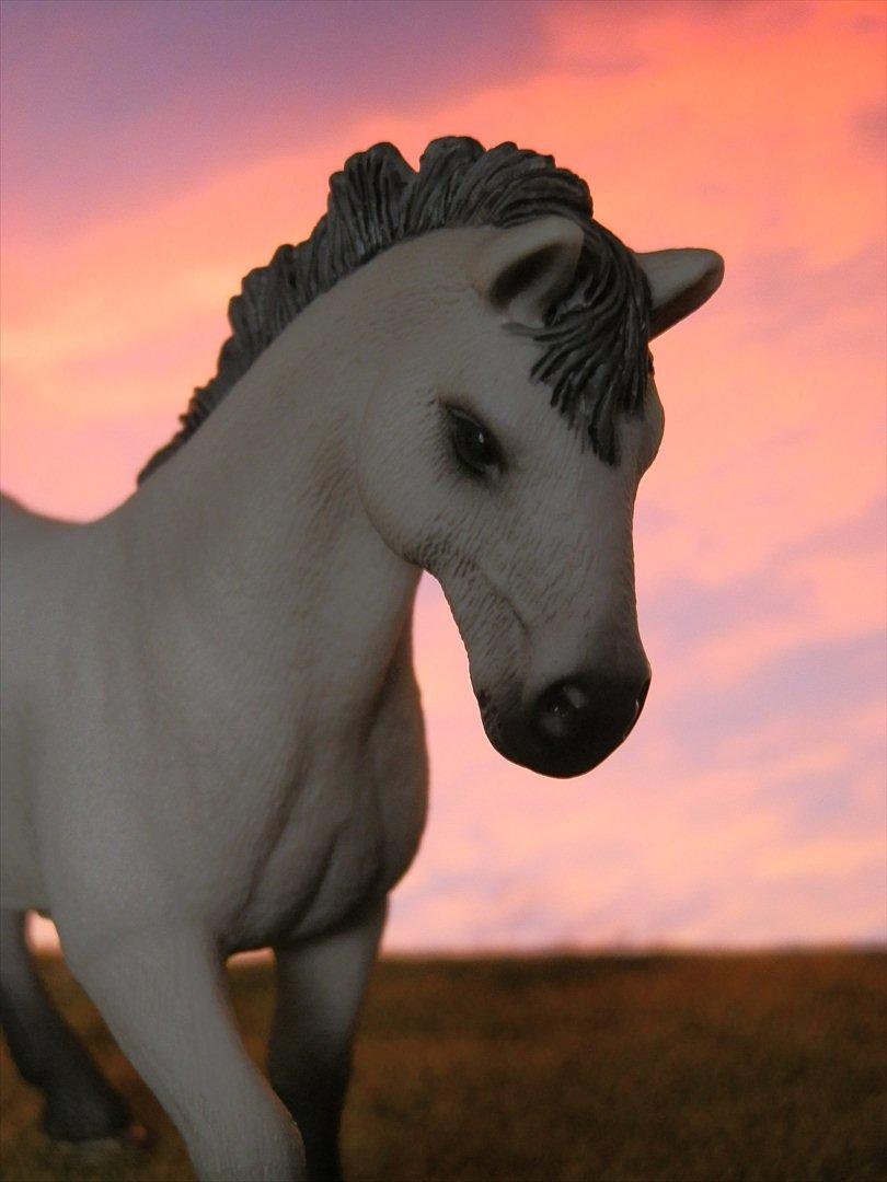 12 NYE SCHLEICH HESTE 2012 [SCHLEICH] - Camargue hingst (Brave)  billede 7