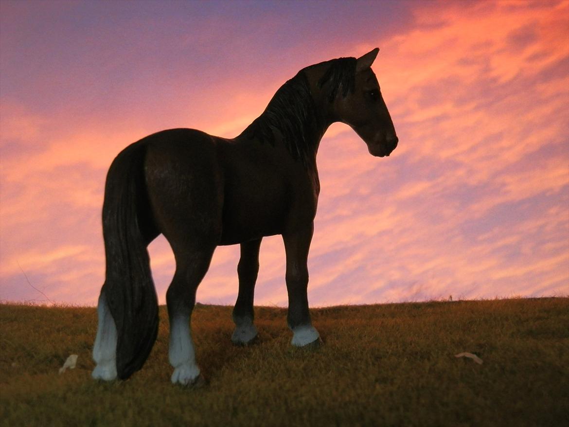 12 NYE SCHLEICH HESTE 2012 [SCHLEICH] - Tennessee Walker hoppe (Pearl of Justice)  billede 8