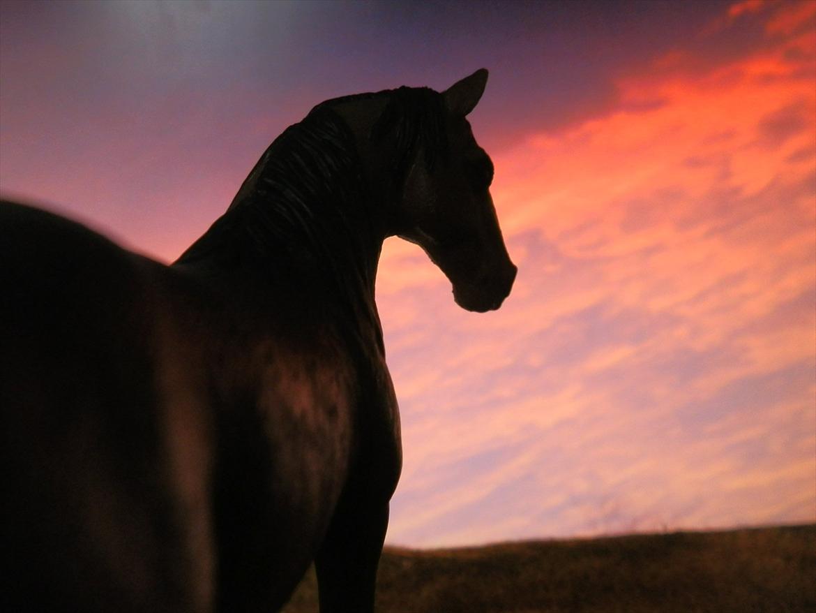 12 NYE SCHLEICH HESTE 2012 [SCHLEICH] - Tennessee Walker hoppe (Pearl of Justice)  billede 9