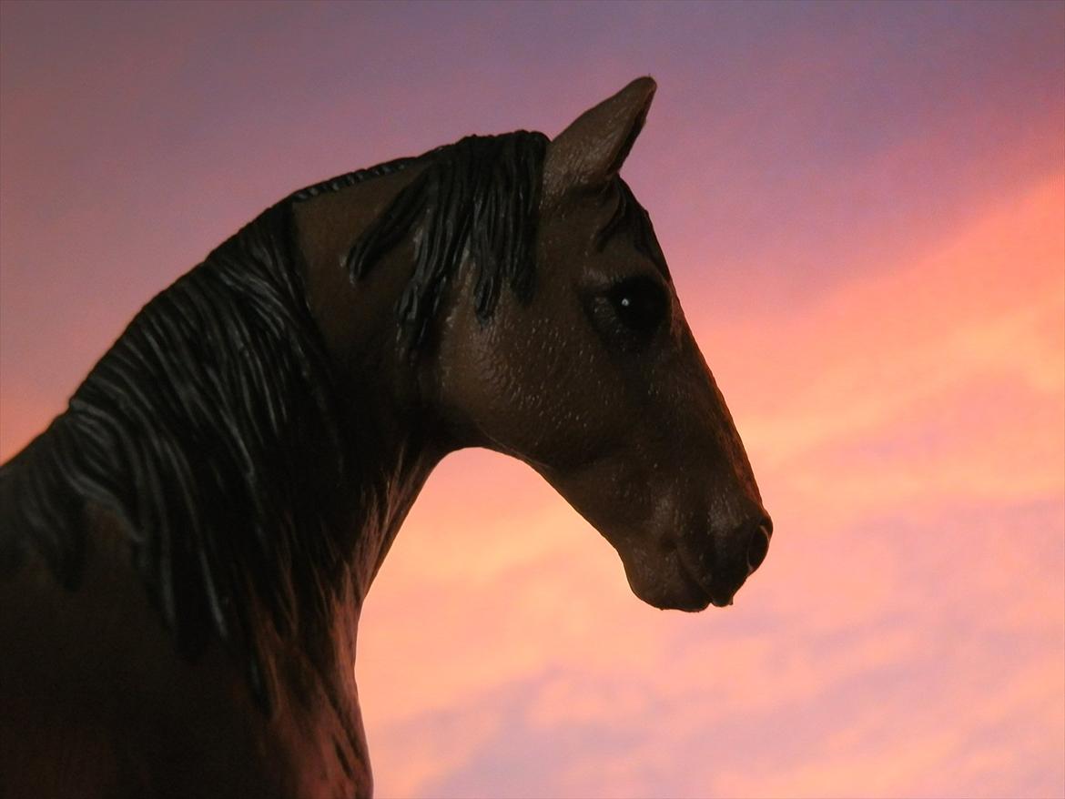 12 NYE SCHLEICH HESTE 2012 [SCHLEICH] - Tennessee Walker hoppe (Pearl of Justice)  billede 10