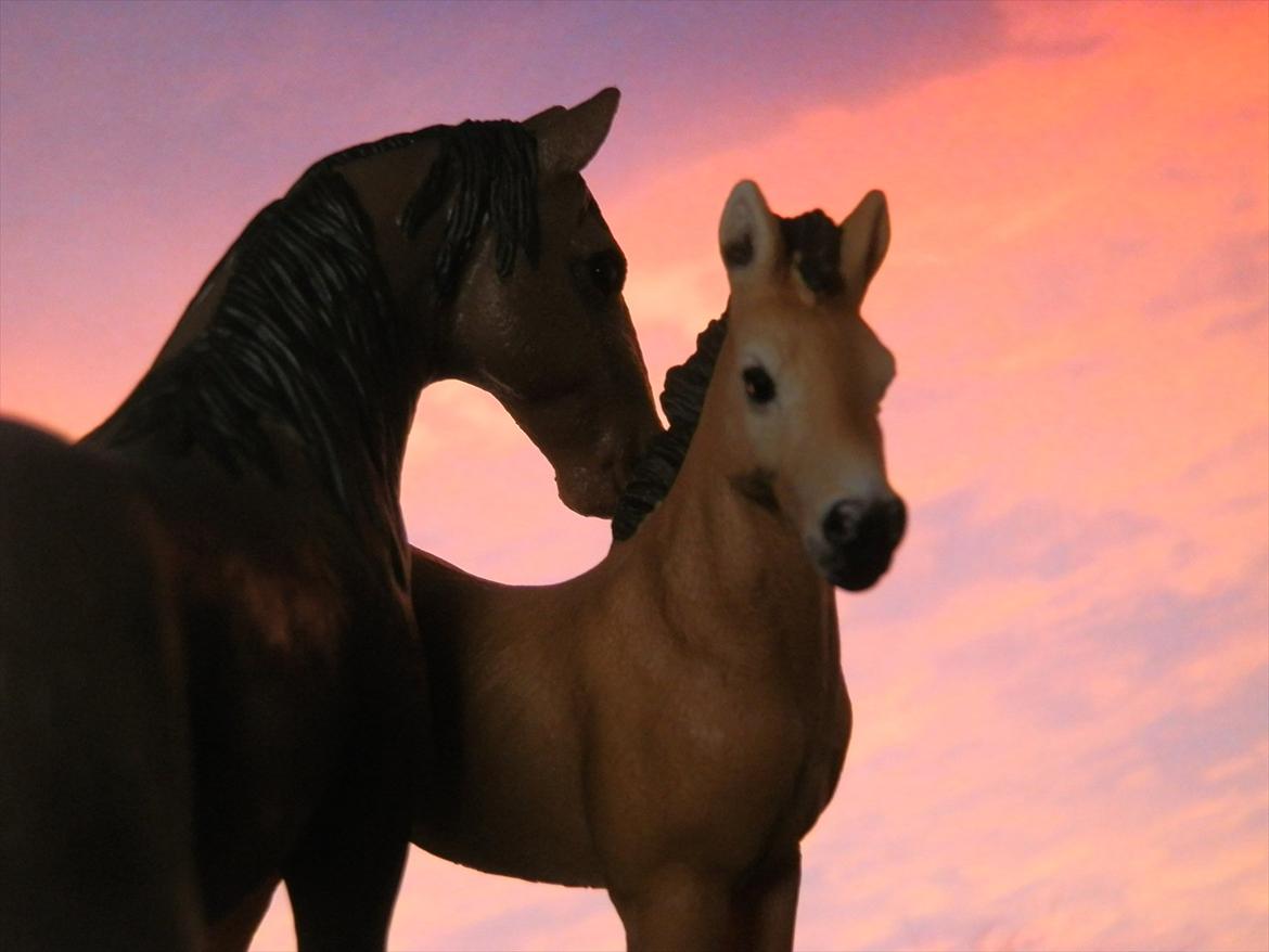 12 NYE SCHLEICH HESTE 2012 [SCHLEICH] - Tennessee Walker hoppe (Pearl of Justice) 

Tennessee Walker hoppeføl (Beautiful Joyce)  billede 11