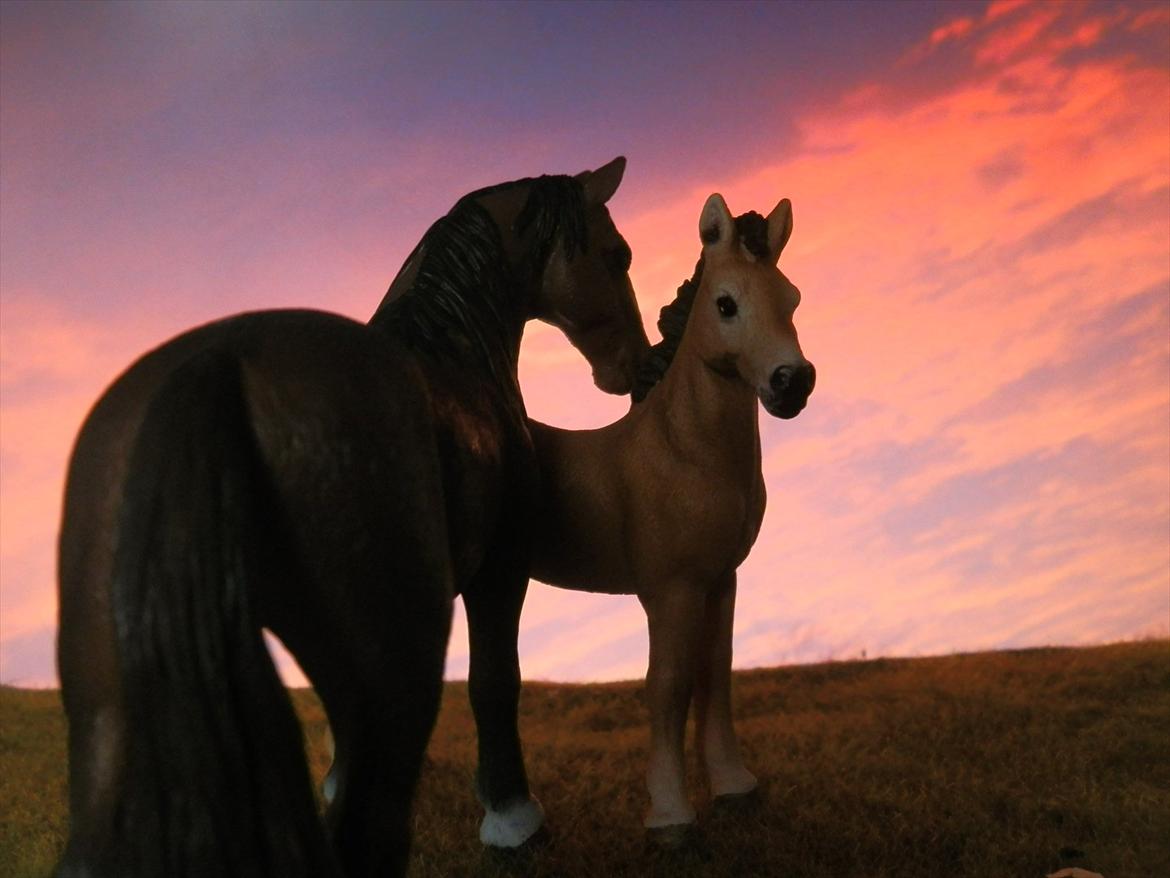 12 NYE SCHLEICH HESTE 2012 [SCHLEICH] - Tennessee Walker hoppe (Pearl of Justice) 

Tennessee Walker hoppeføl (Beautiful Joyce)  billede 12