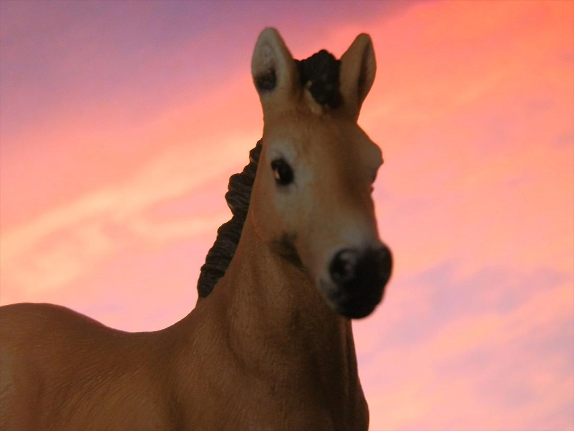 12 NYE SCHLEICH HESTE 2012 [SCHLEICH] - Tennessee Walker hoppeføl (Beautiful Joyce)  billede 13