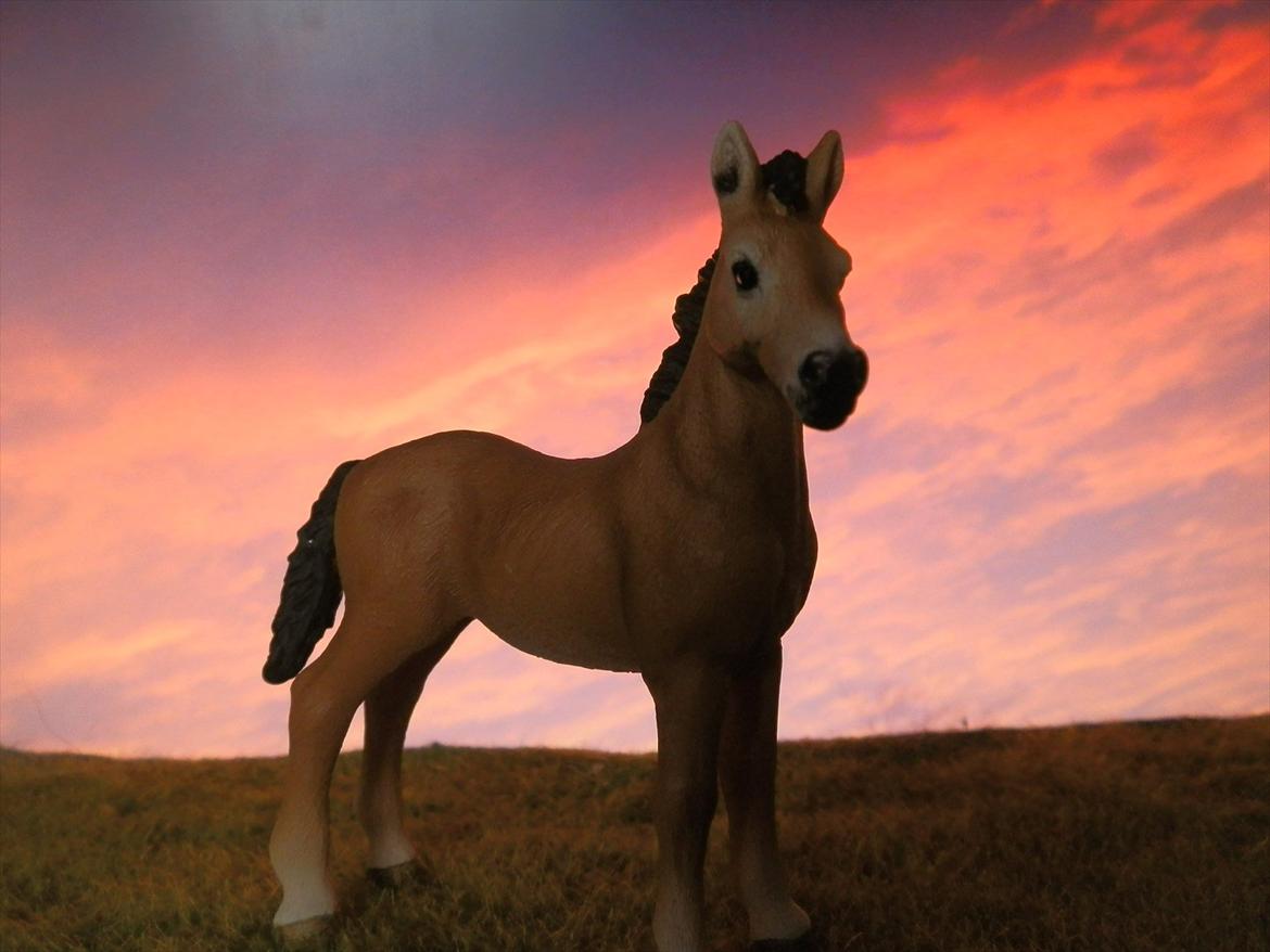 12 NYE SCHLEICH HESTE 2012 [SCHLEICH] - Tennessee Walker hoppeføl (Beautiful Joyce)  billede 14