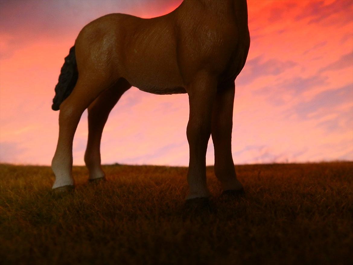 12 NYE SCHLEICH HESTE 2012 [SCHLEICH] - Tennessee Walker hoppeføl (Beautiful Joyce)  billede 15