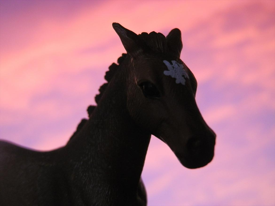 12 NYE SCHLEICH HESTE 2012 [SCHLEICH] - Camargue hoppeføl (Eyecatcher) billede 19