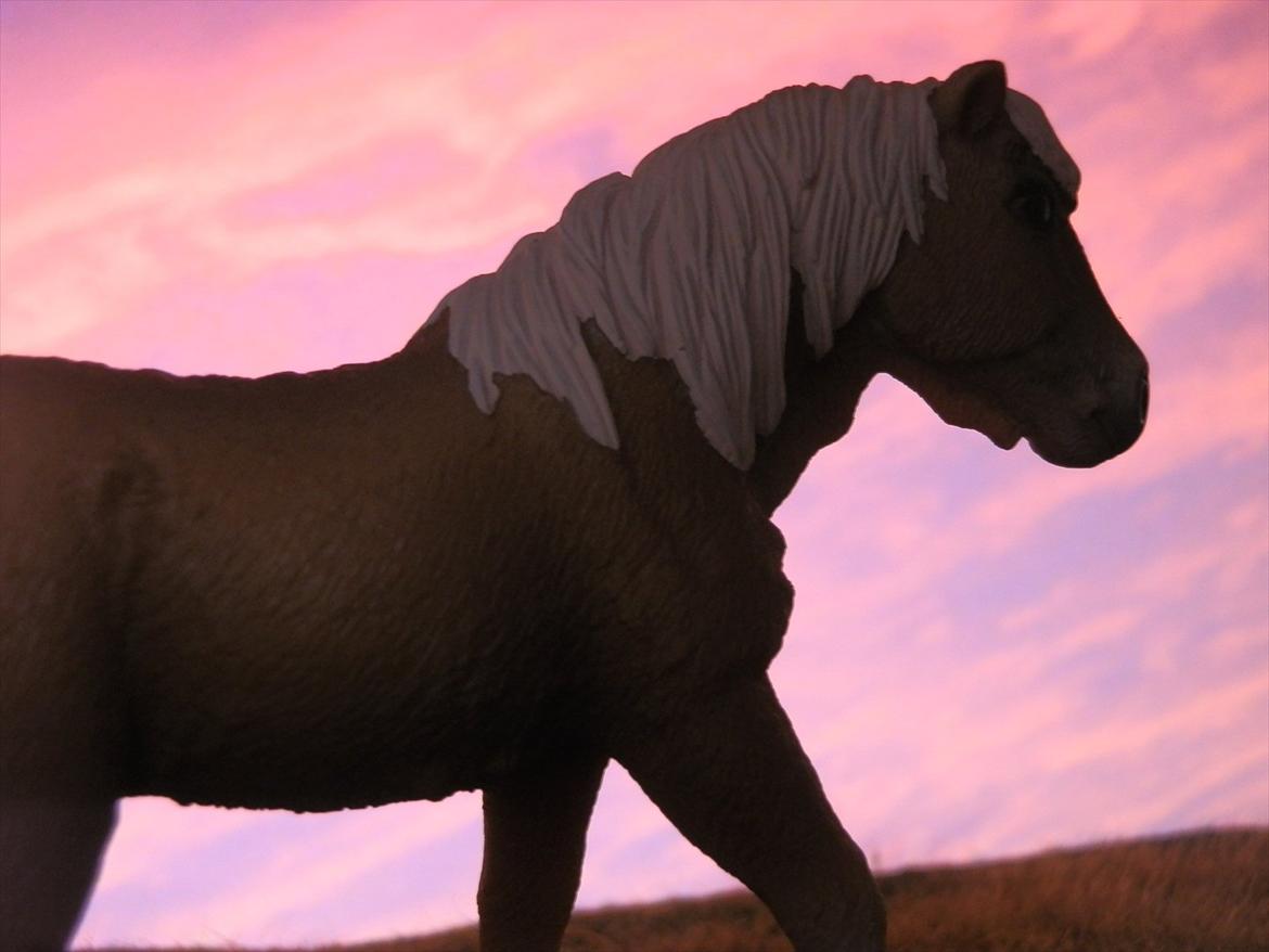 12 NYE SCHLEICH HESTE 2012 [SCHLEICH] - islænder hoppe (sleipnir) billede 23