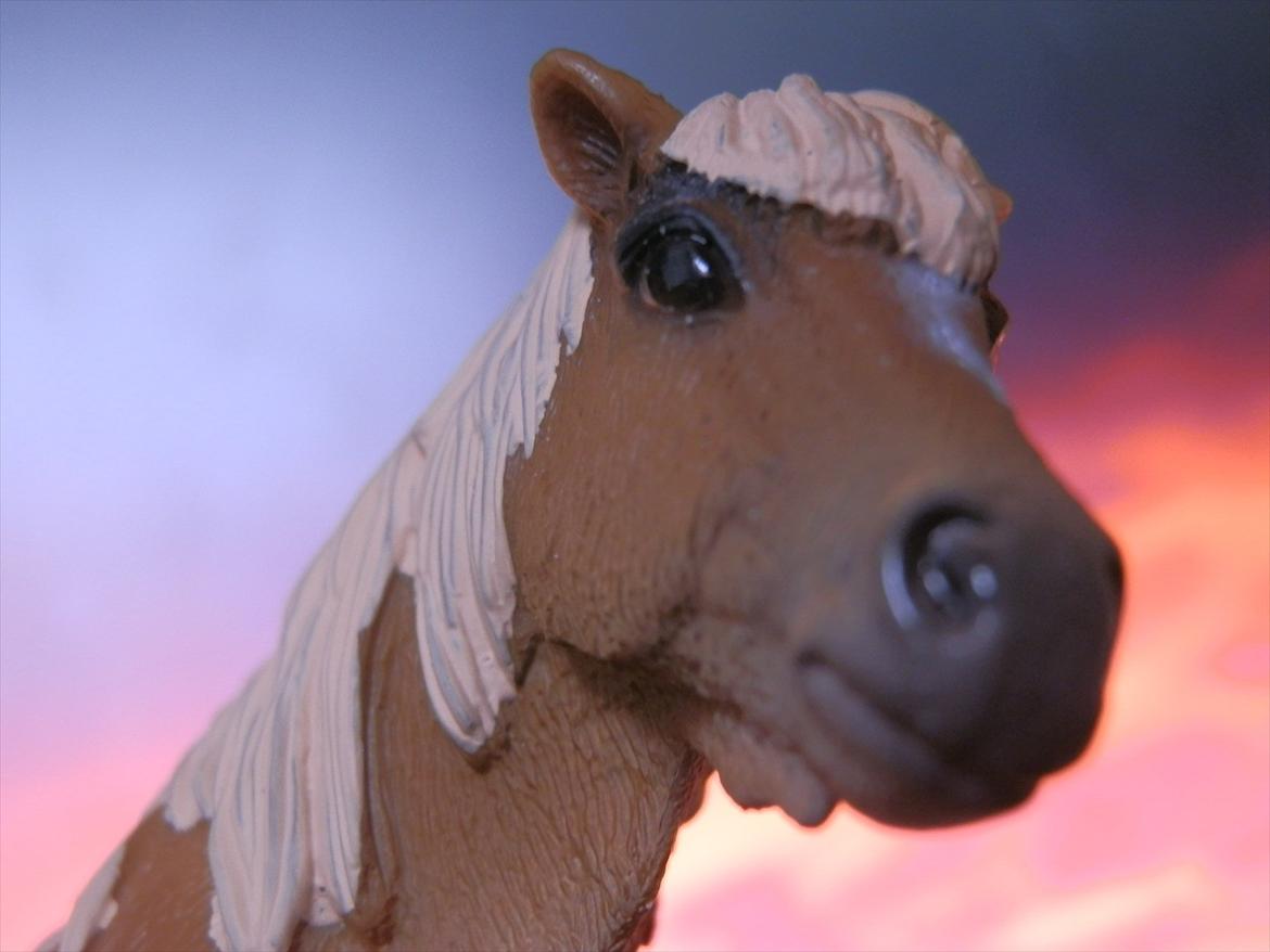 12 NYE SCHLEICH HESTE 2012 [SCHLEICH] - islænder hoppe (sleipnir) billede 24