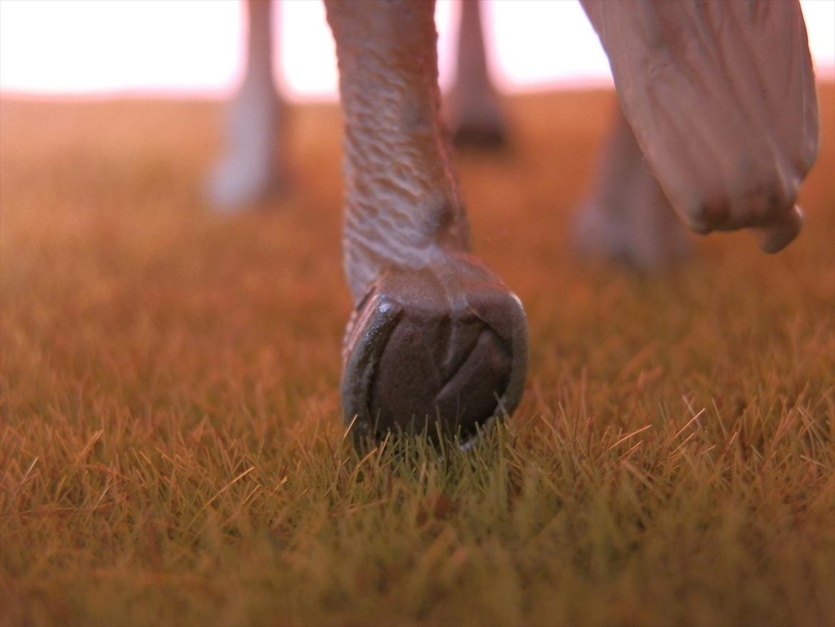 12 NYE SCHLEICH HESTE 2012 [SCHLEICH] - islænder hoppe (sleipnir) billede 26