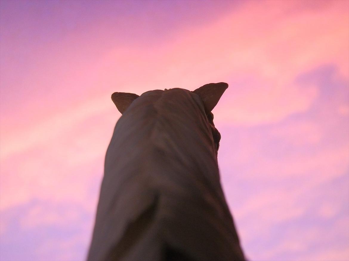 12 NYE SCHLEICH HESTE 2012 [SCHLEICH] - islænder hoppe (sleipnir) billede 27