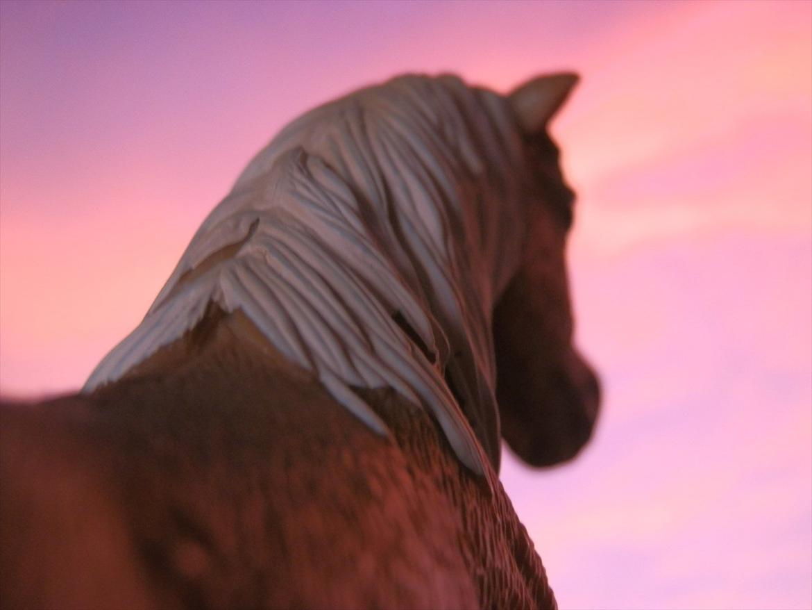 12 NYE SCHLEICH HESTE 2012 [SCHLEICH] - islænder hoppe (sleipnir) billede 28