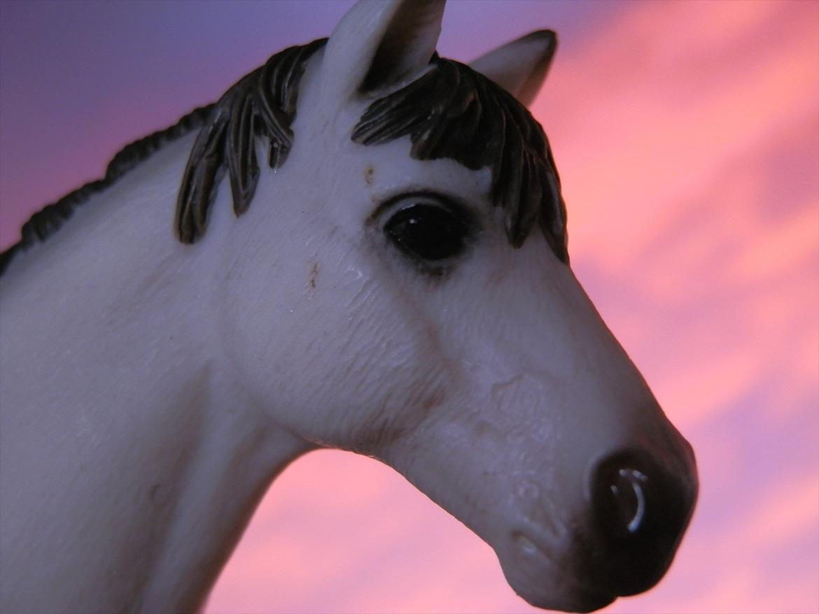 12 NYE SCHLEICH HESTE 2012 [SCHLEICH] - Blanding vallak (Lacoste) billede 32