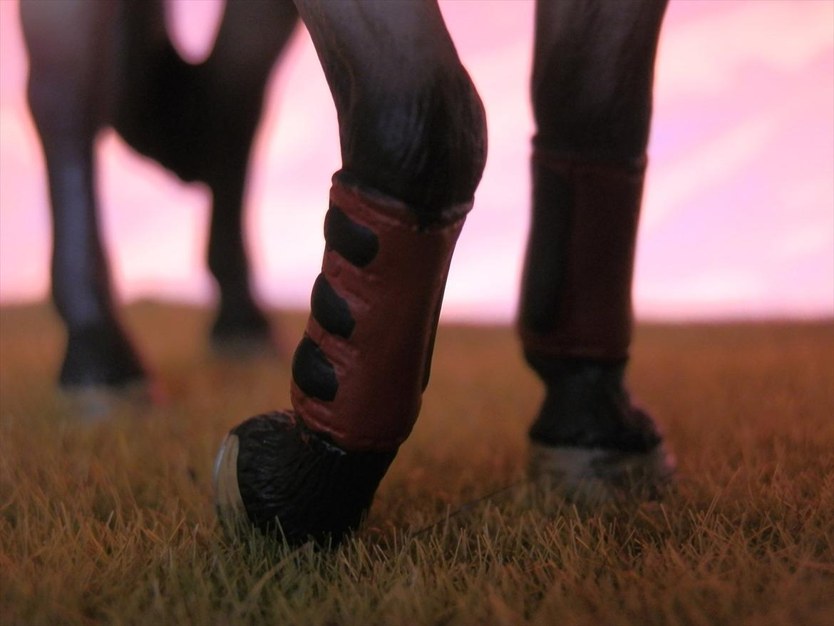 12 NYE SCHLEICH HESTE 2012 [SCHLEICH] - Blanding vallak (Lacoste) billede 33