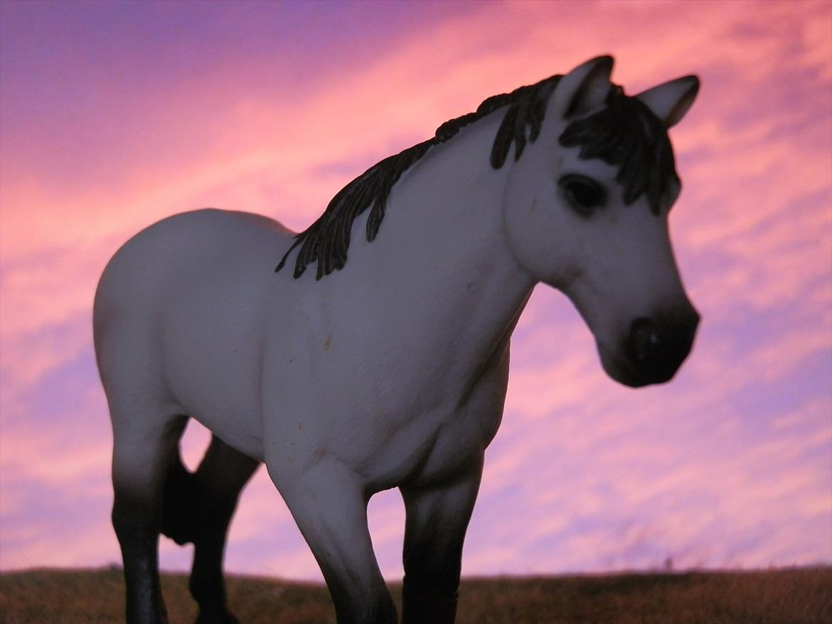 12 NYE SCHLEICH HESTE 2012 [SCHLEICH] - Blanding vallak (Lacoste) billede 34