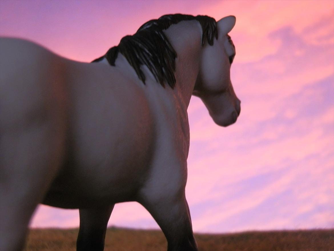 12 NYE SCHLEICH HESTE 2012 [SCHLEICH] - Blanding vallak (Lacoste) billede 35