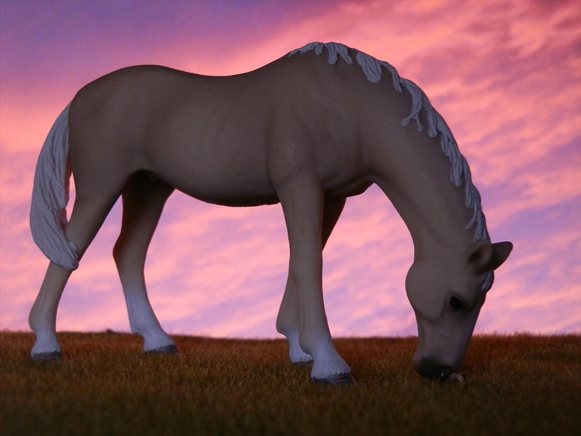 12 NYE SCHLEICH HESTE 2012 [SCHLEICH] - Akhal-Tekiner hoppe (Abaza)  billede 37