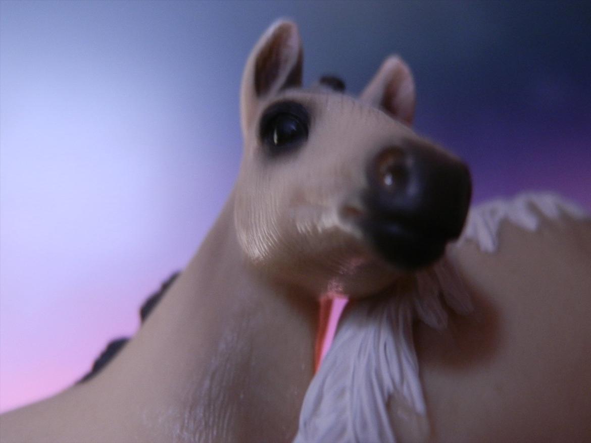 12 NYE SCHLEICH HESTE 2012 [SCHLEICH] - Akhal-Tekiner hoppeføl (galina)  billede 41