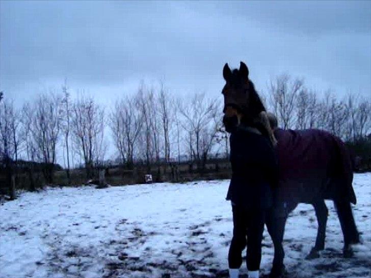 Vores billedebog. - Vaaaaaaaaaaaalentins dag med ham den søde!<3<3 Nøj hvor er han bare begyndt at betyde utrolig meget for mig!<3 Elsker dig hest <3<3 billede 24