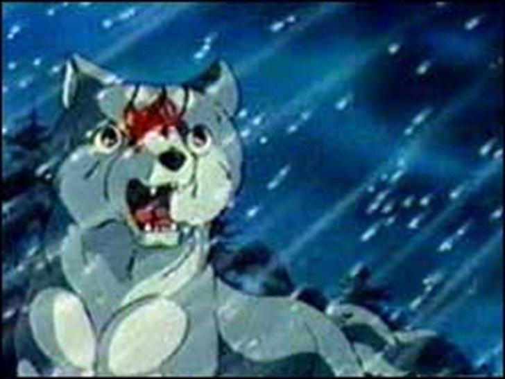 Silver Fang billede 7