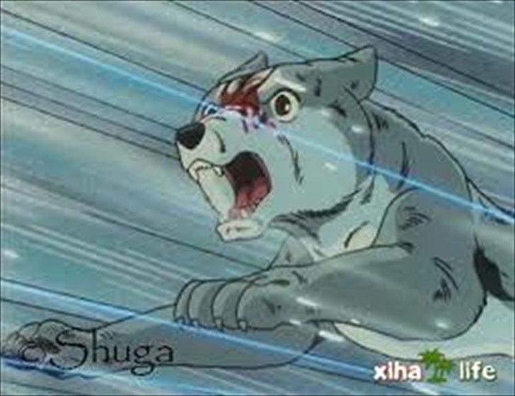 Silver Fang billede 16