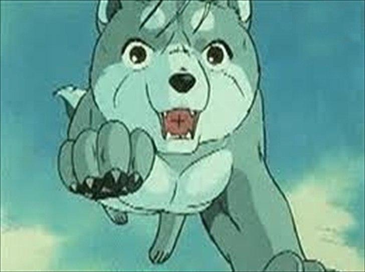 Silver Fang billede 21