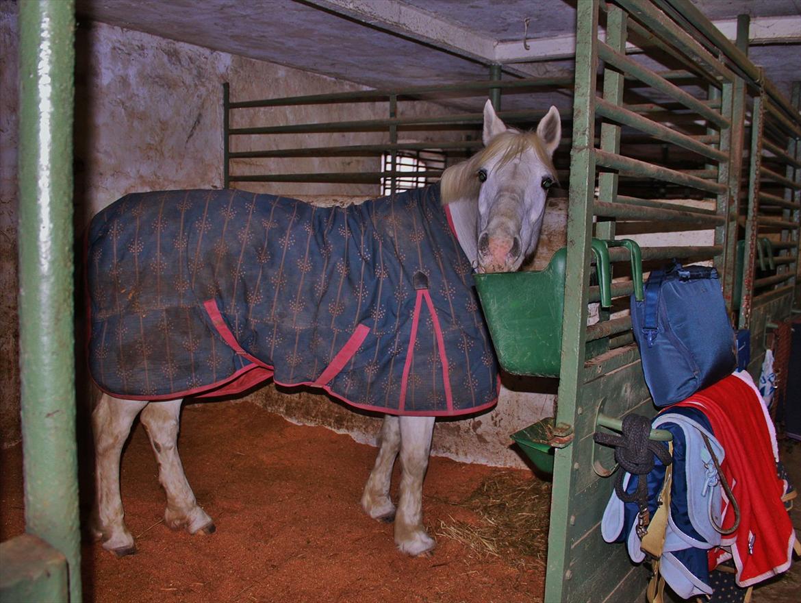 50 dage på hestegalleri :) - Dag 41: Et billede af din hests boks - Ret dårligt billede...  billede 41