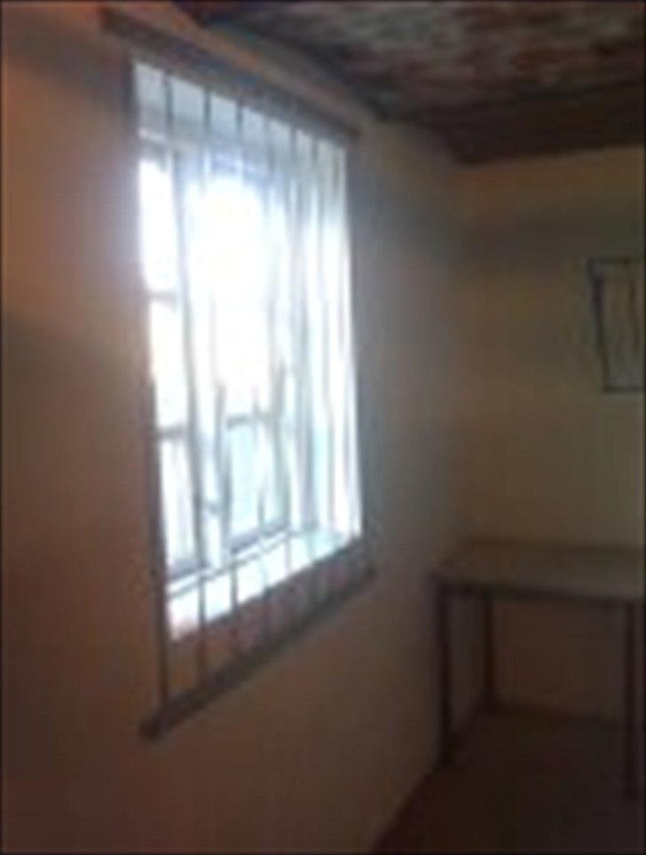 Gitter til vinduer i stalden. billede 7