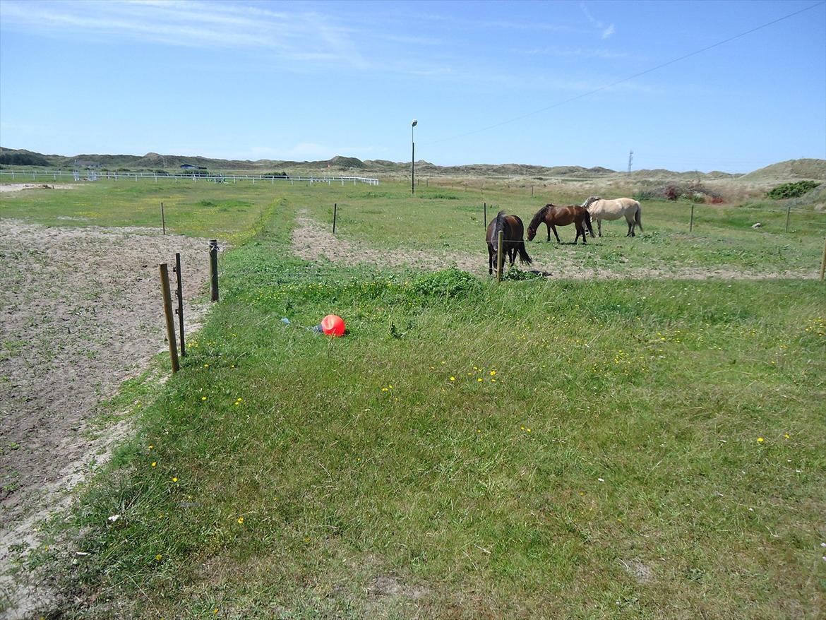 Isabella (Til Nanna) billede 38