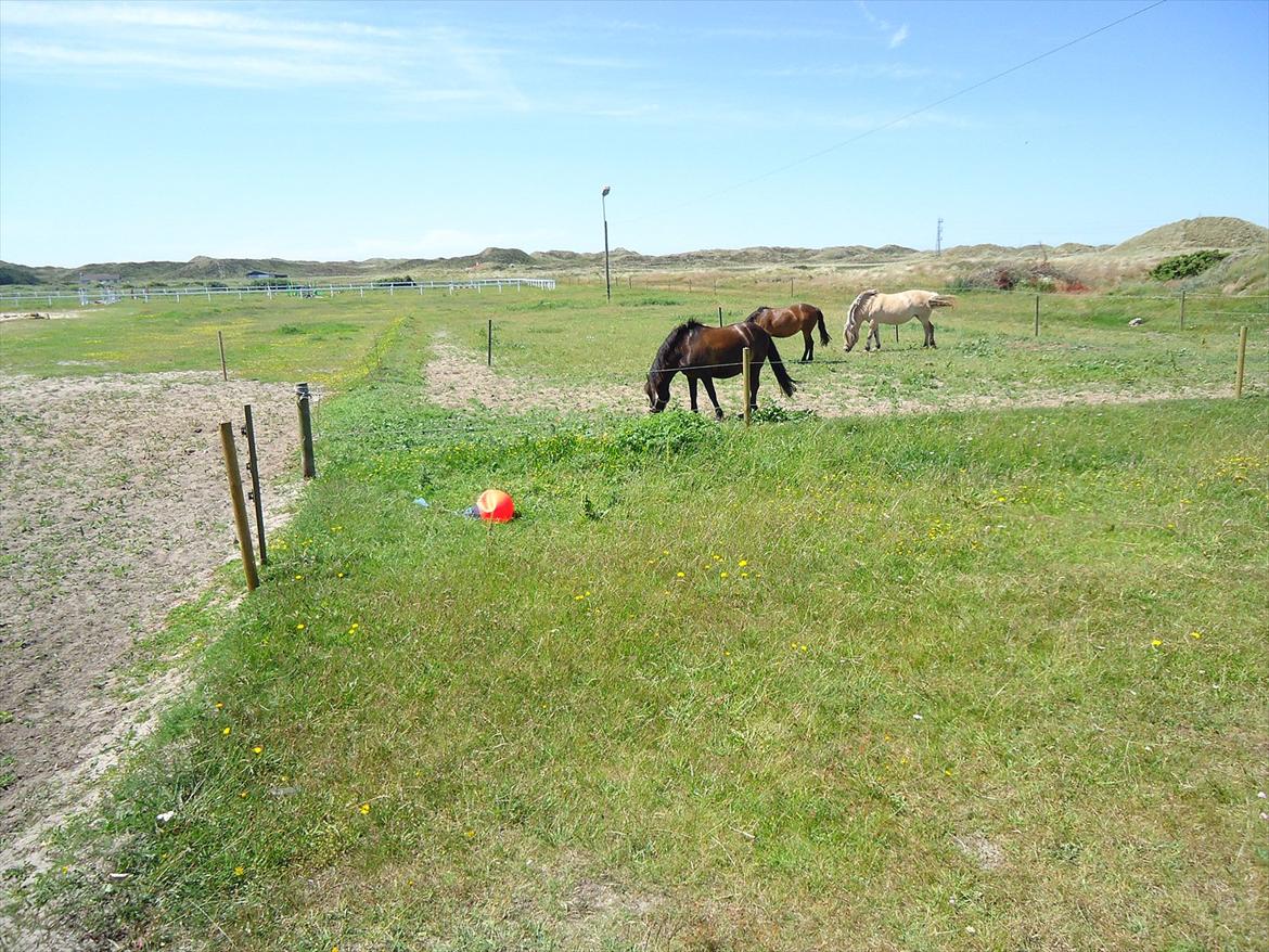 Isabella (Til Nanna) billede 39