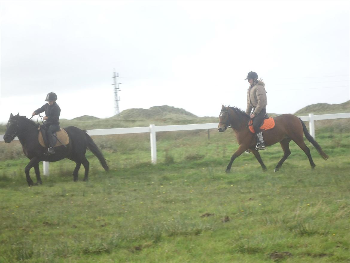 Isabella (Til Nanna) billede 40