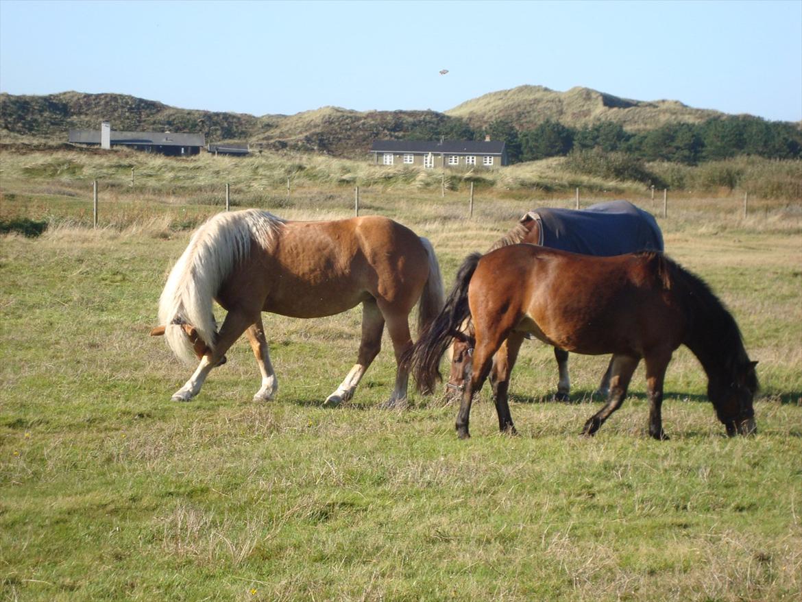 Isabella (Til Nanna) billede 41