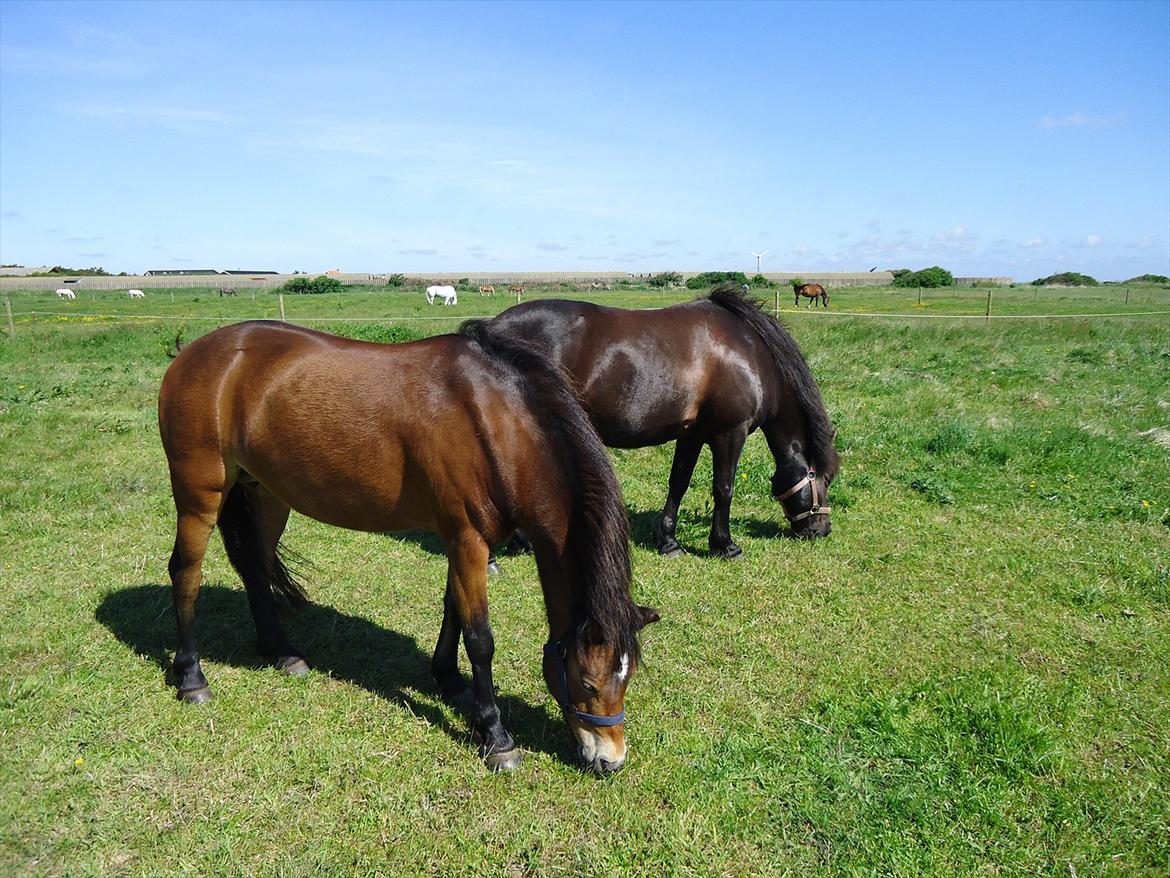 Isabella (Til Nanna) billede 43
