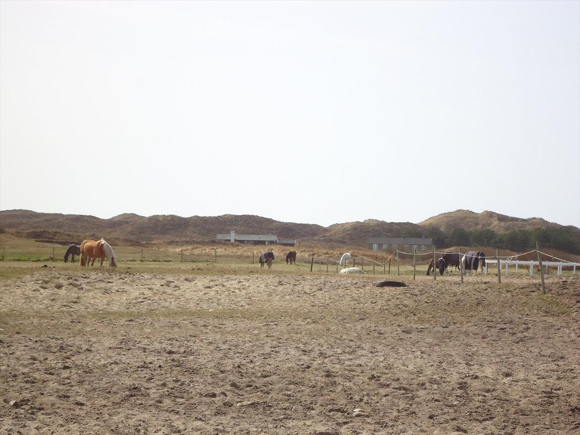 Isabella (Til Nanna) billede 44