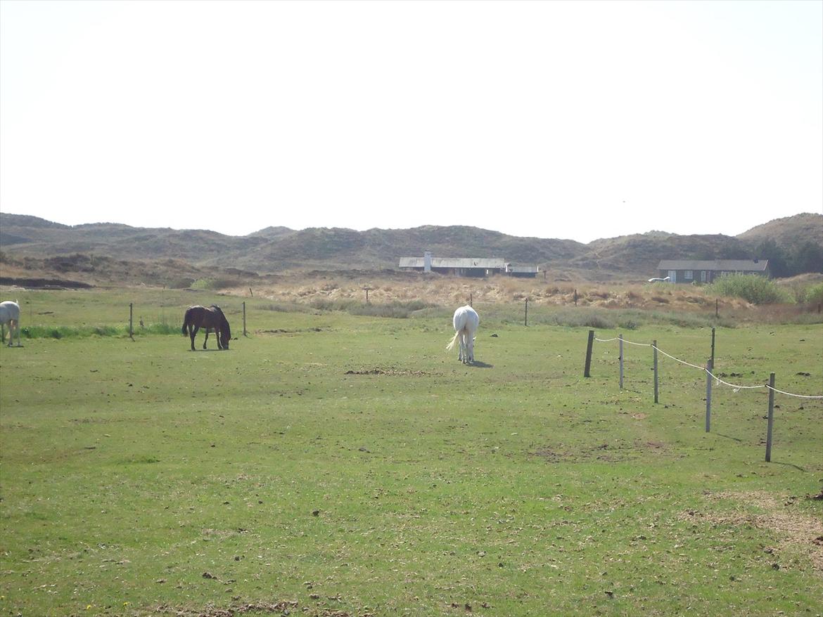 Isabella (Til Nanna) billede 45