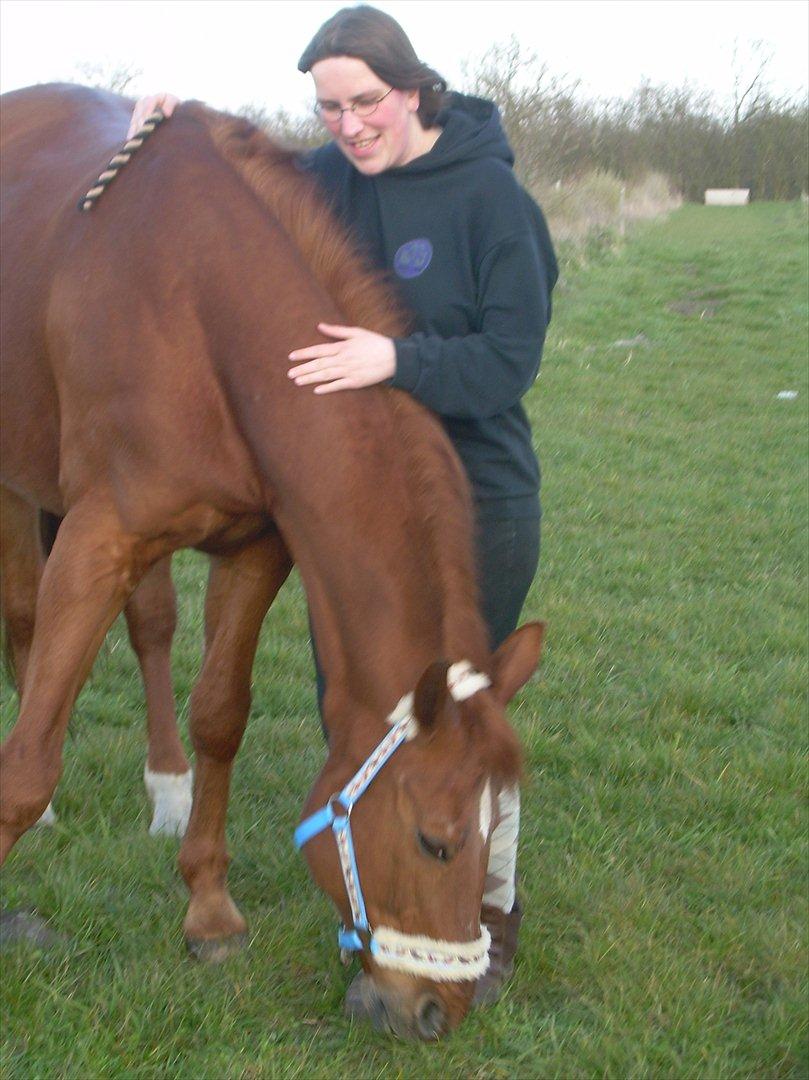 Basse - Lille photoshoot til "Magasinet Hest" hvor vi var med i Juninummeret 2008. billede 3