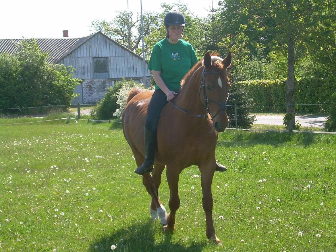 Basse - Samme ridetur. billede 14