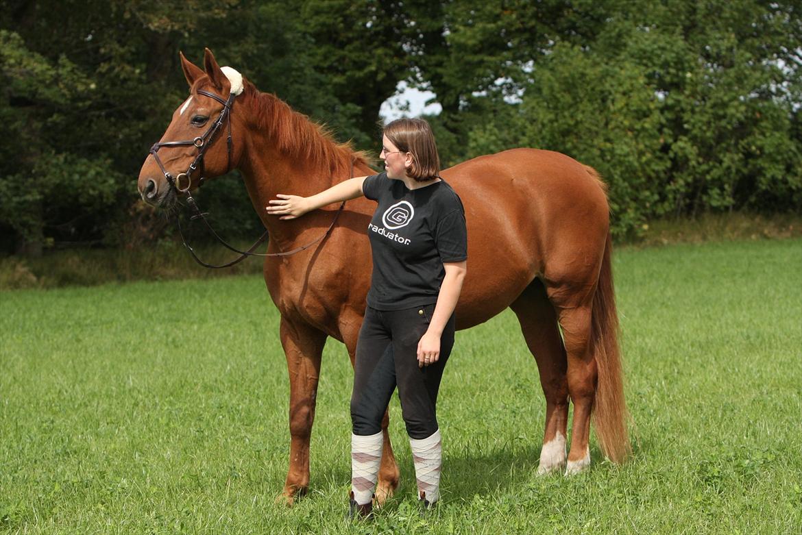 Basse - Dejlige gamle dame. billede 23