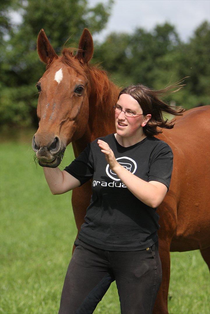 Basse - I vind og blæst, er en Basse-hest bedst! billede 26