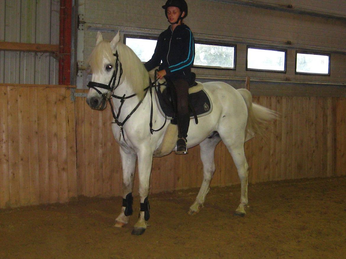 Når Tic's laver sine lækre parader<3<3 - Du er bare så dejlig, hehe du stiller dig altid sådan<3333 du sååå søøød:*:*:* billede 3