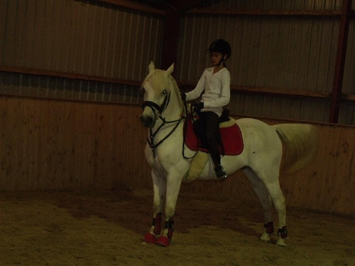 Når Tic's laver sine lækre parader<3<3 - Uff du er lækker, du ligner jo også en hingst haha<3<3:*:* billede 2