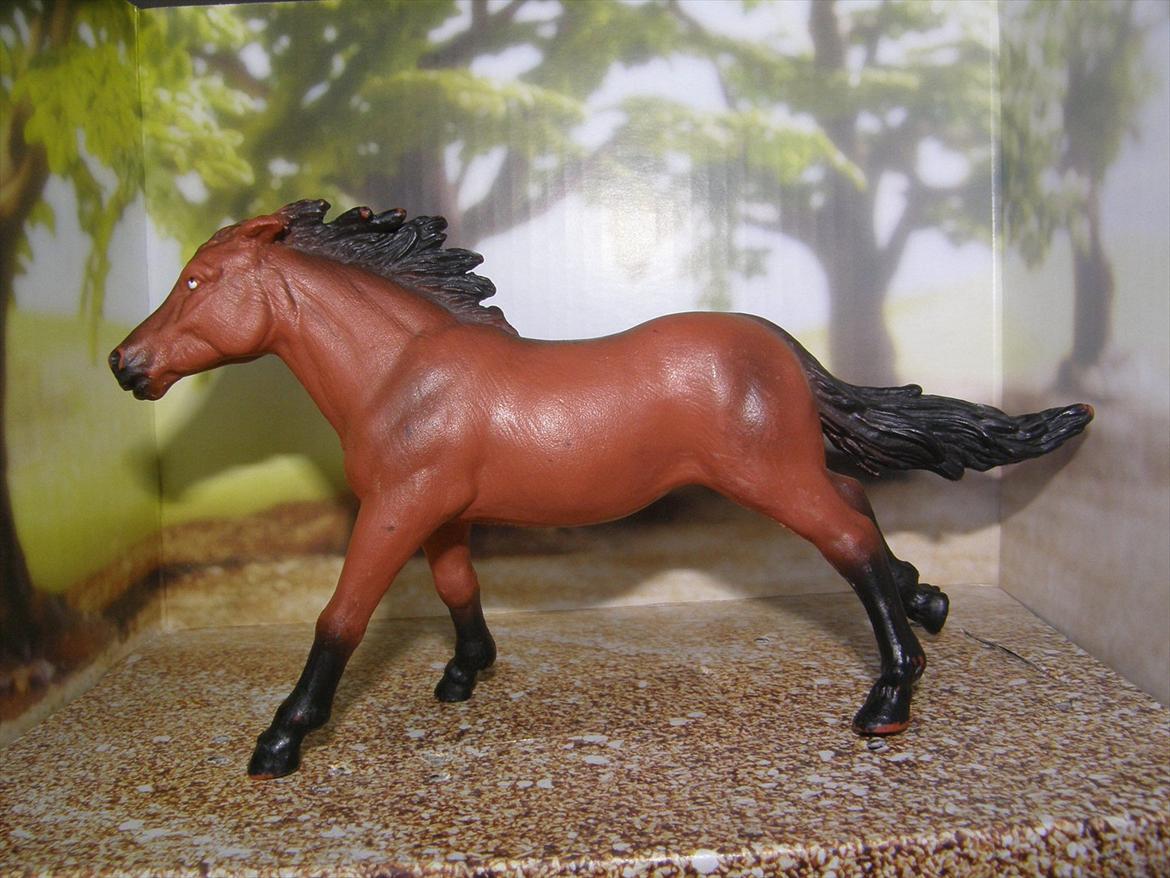 Mine Schleich Dyr - Navn: Hope's Fantacie. Race: Fuldblod. Køn: Hoppe. Alder: 10 år billede 11