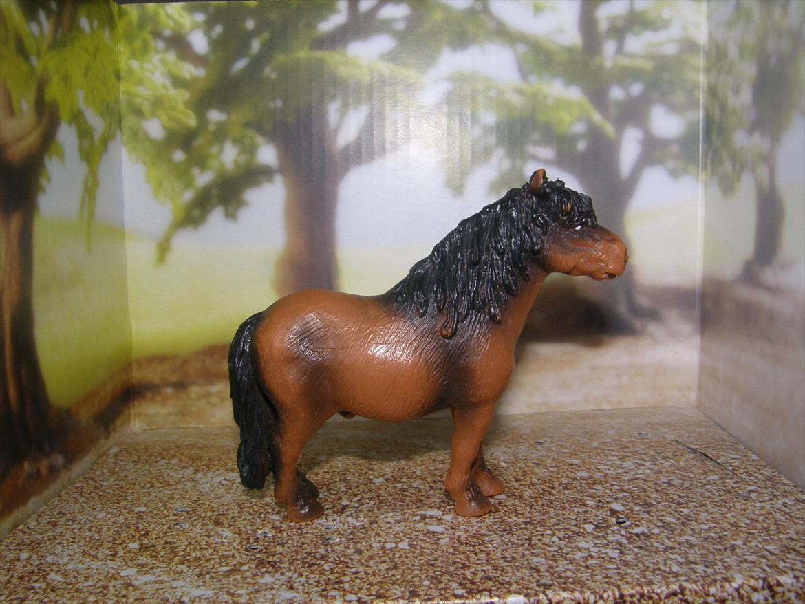 Mine Schleich Dyr - Navn: Buller Race: Shetlænderblandning Køn: Vallak Alder: 16 år billede 8
