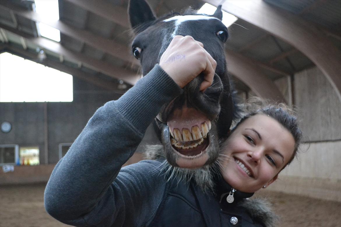 Kees, jeg elsker dig! billede 3