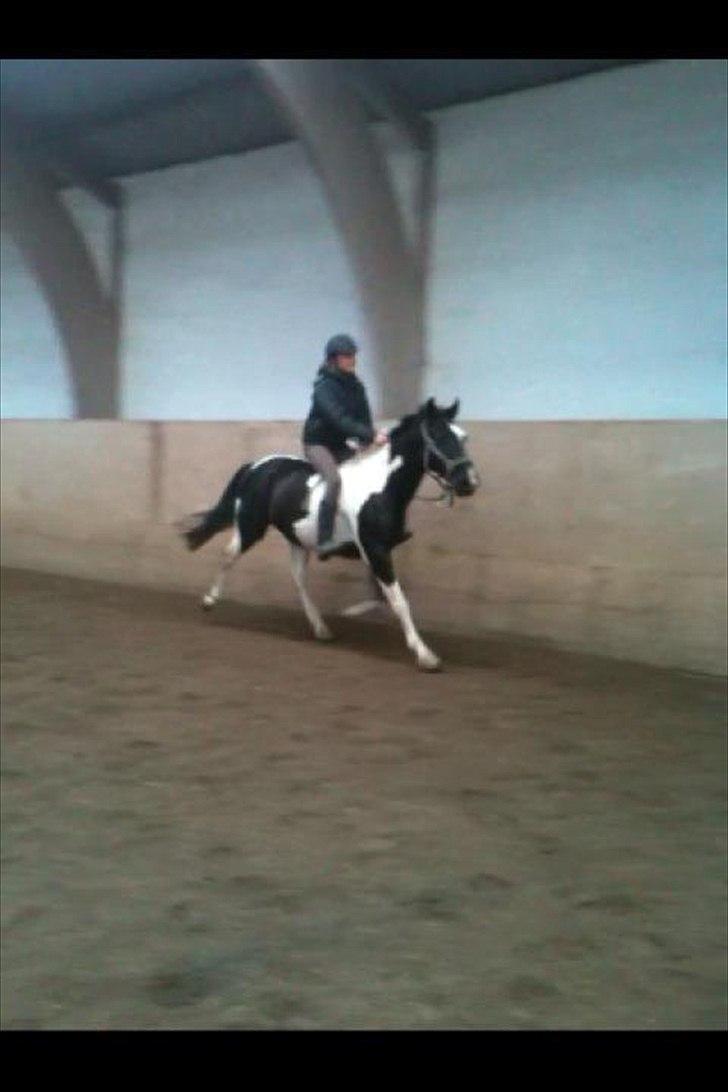 Kees, jeg elsker dig! billede 4