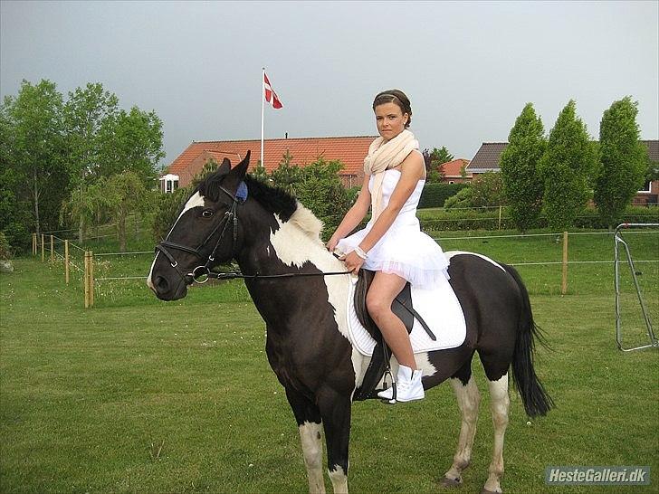 Kees, jeg elsker dig! billede 6