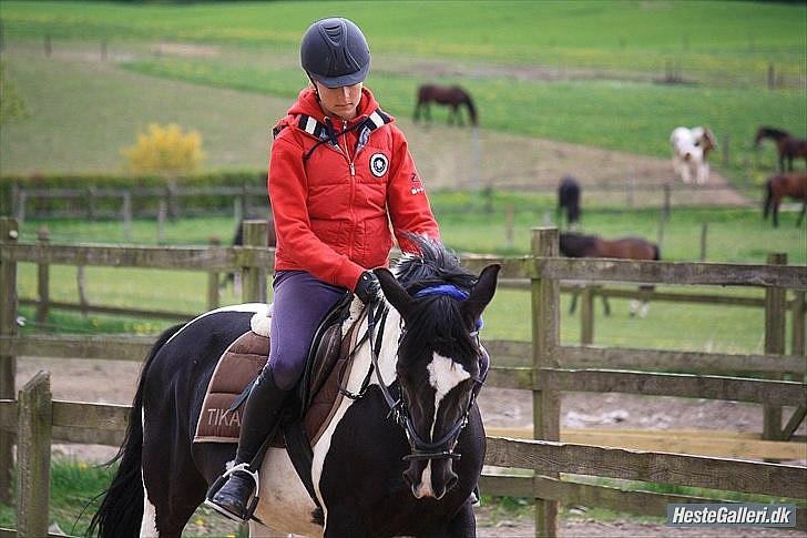 Kees, jeg elsker dig! billede 7