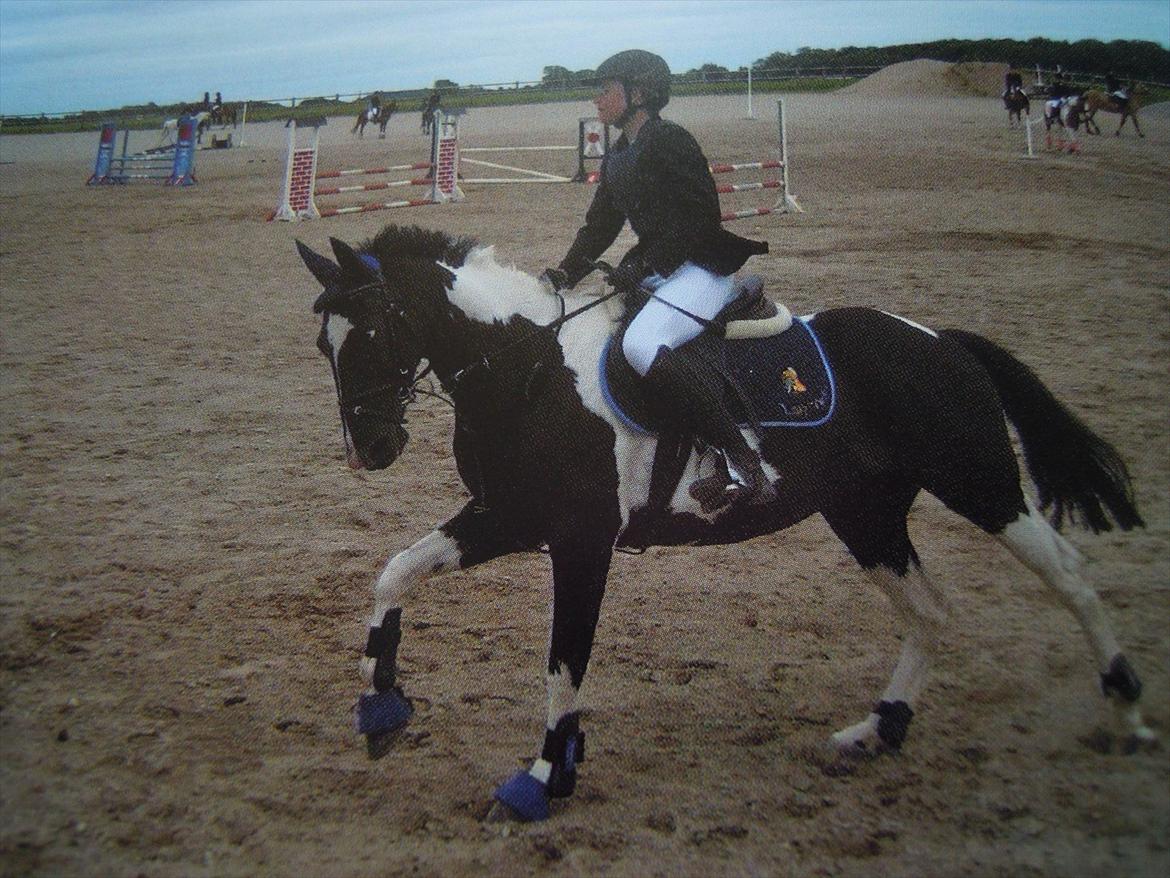 Kees, jeg elsker dig! billede 10