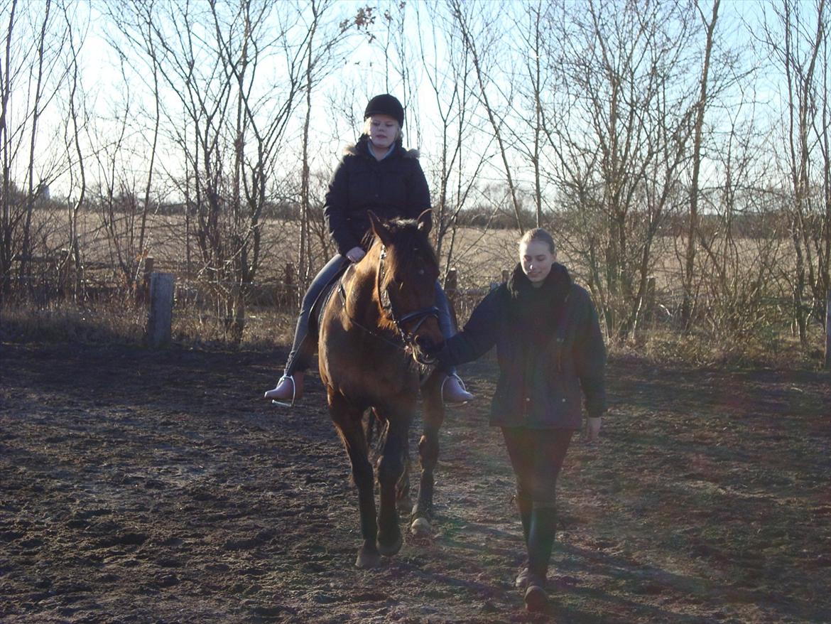 Vores billedebog. - I dag d. 26/2-2012 havde jeg min veninde med ude i stalden! :-D Det var rent hygge! :-D Hun filmede noget ridning, og efter jeg havde redet, så fik hun lige en lille træktur! :-D Kaliber var super sød, og gik meget pææænt! :-D<3 billede 25